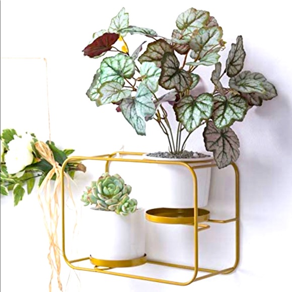 Wall Planters Modern Design Wall Plant Holder - Picture 1 of 7